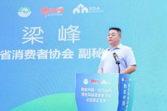 协续阐扬桥梁感化