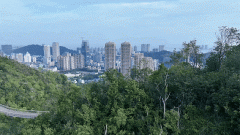 恋爱灯塔和初升辉映