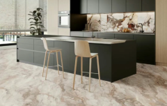 具有大量先辈甚至国际领先程度的科技